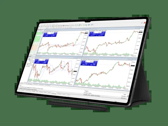 MetaTrader 4 账户登录与账户类型说明